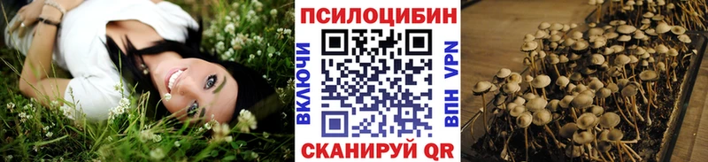 наркота  Онега  Галлюциногенные грибы Magic Shrooms 