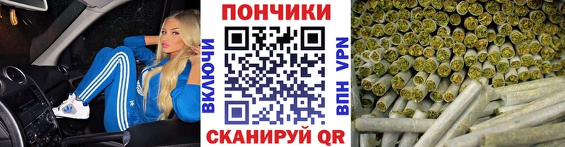 блэк спрут ссылка Онега Канабис VHQ